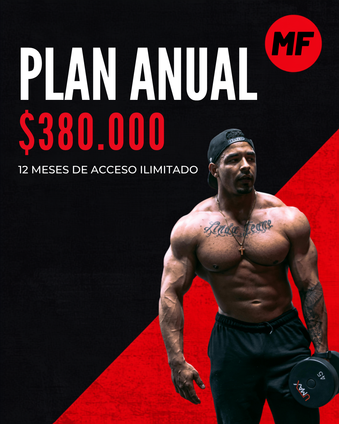 Plan Anual Megafitness Gym