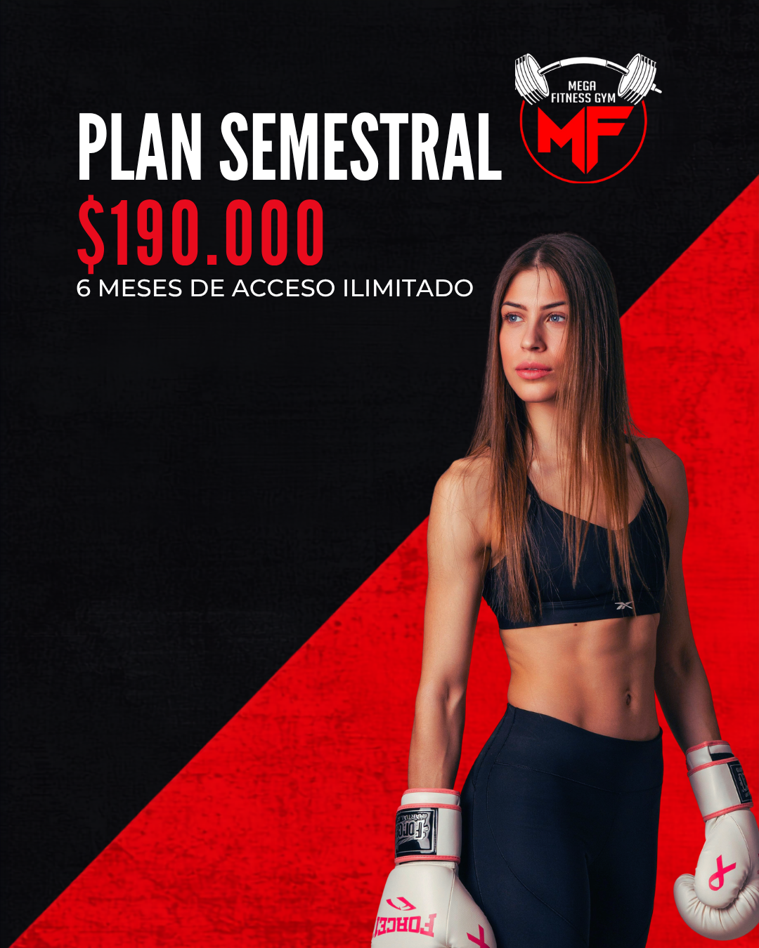 Plan Semestral
