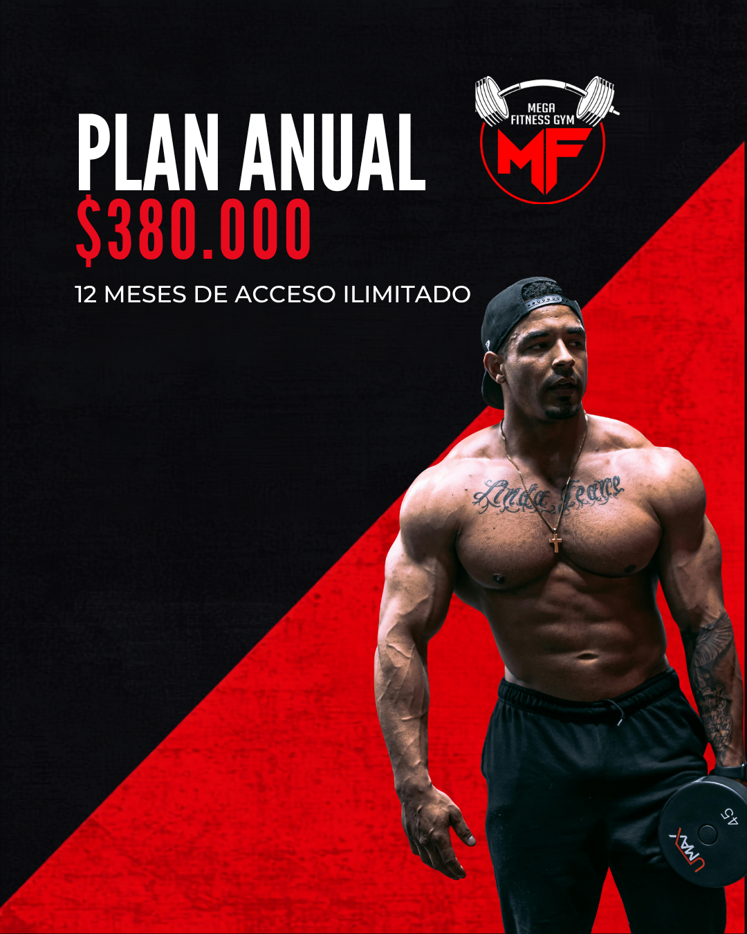 Plan Anual