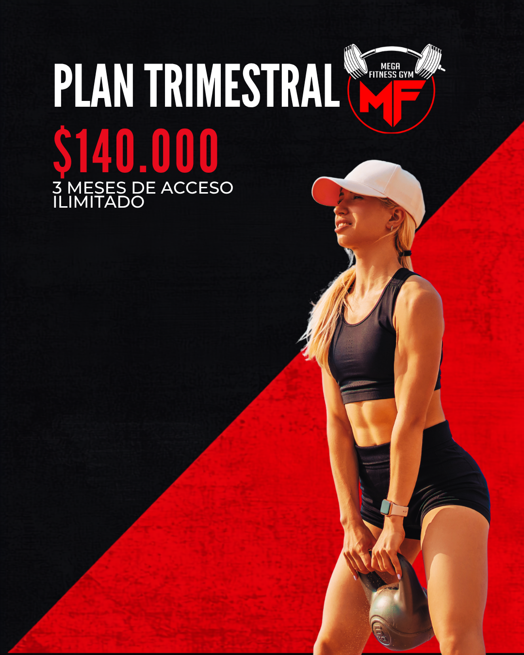 Plan Trimestral