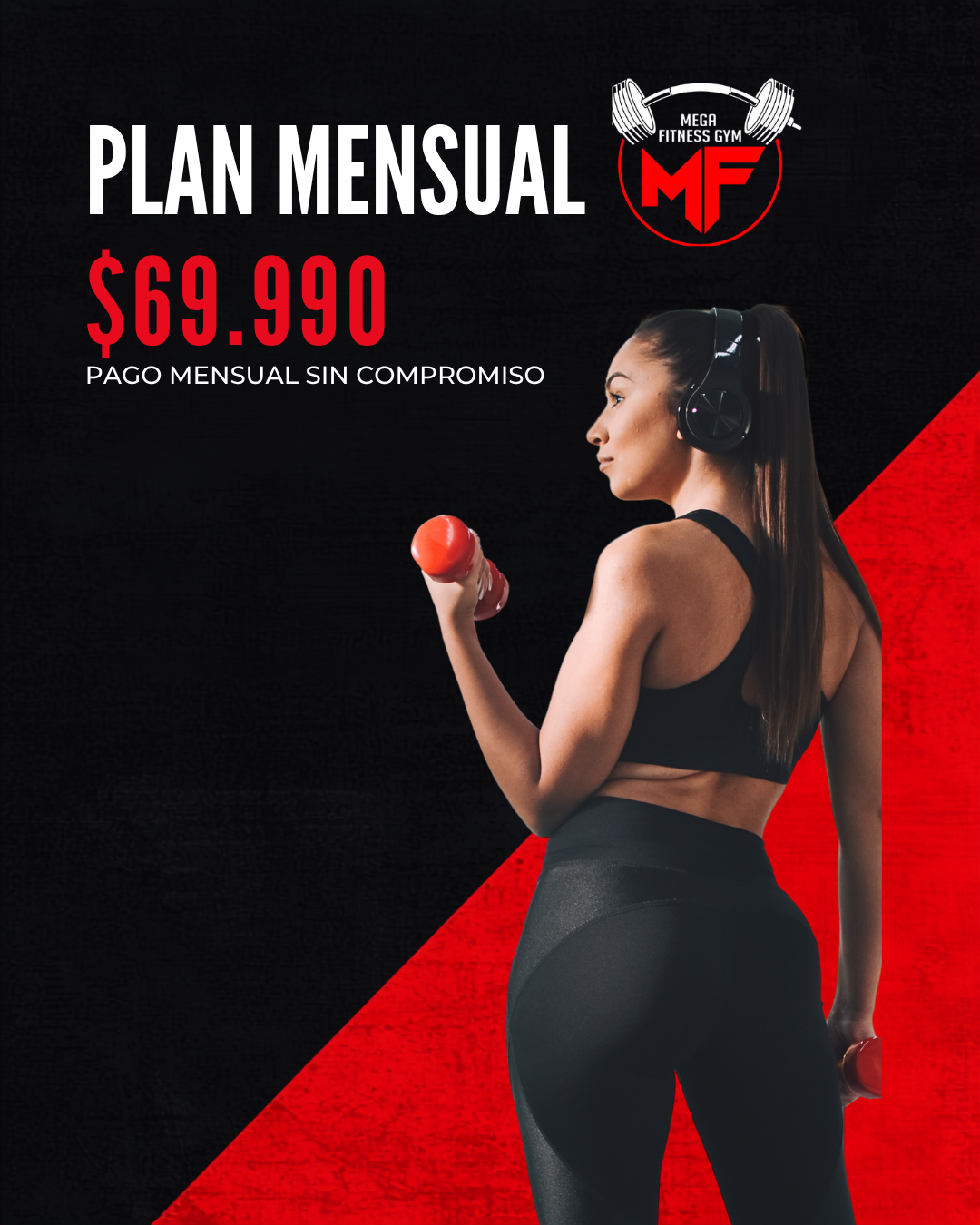 Plan Mensual