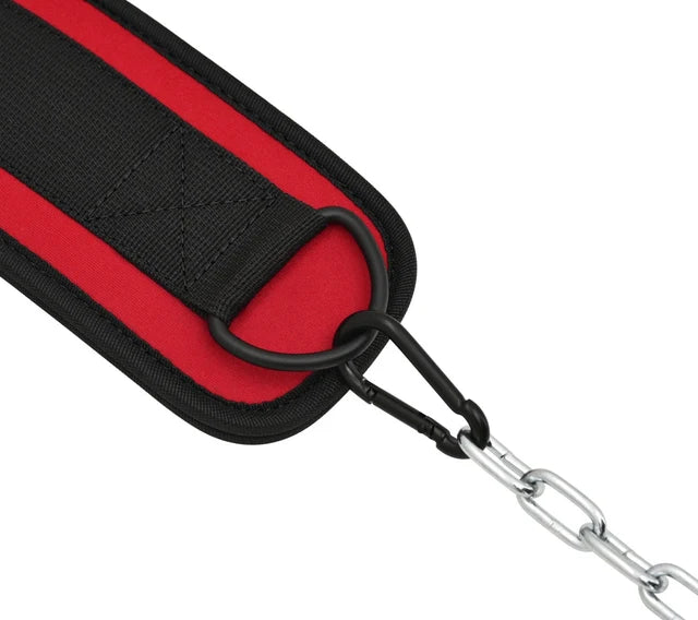 Cadena De Cinturón De Inmersión De Entrenamiento Con Pesas RDX T7
