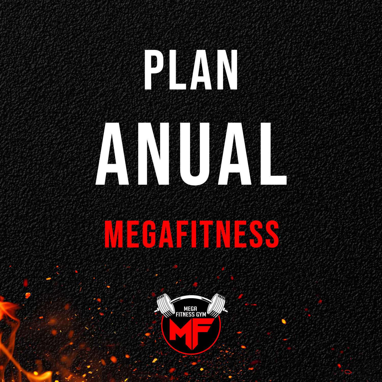 Plan Anual