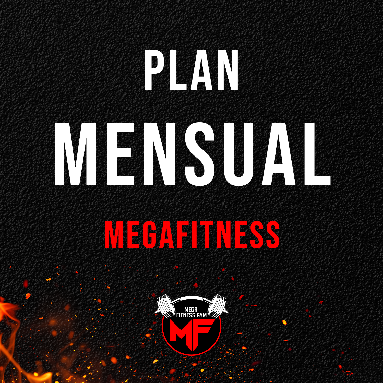 Plan Mensual