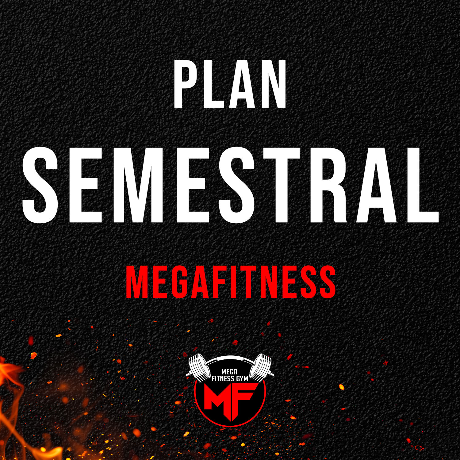 Plan Semestral