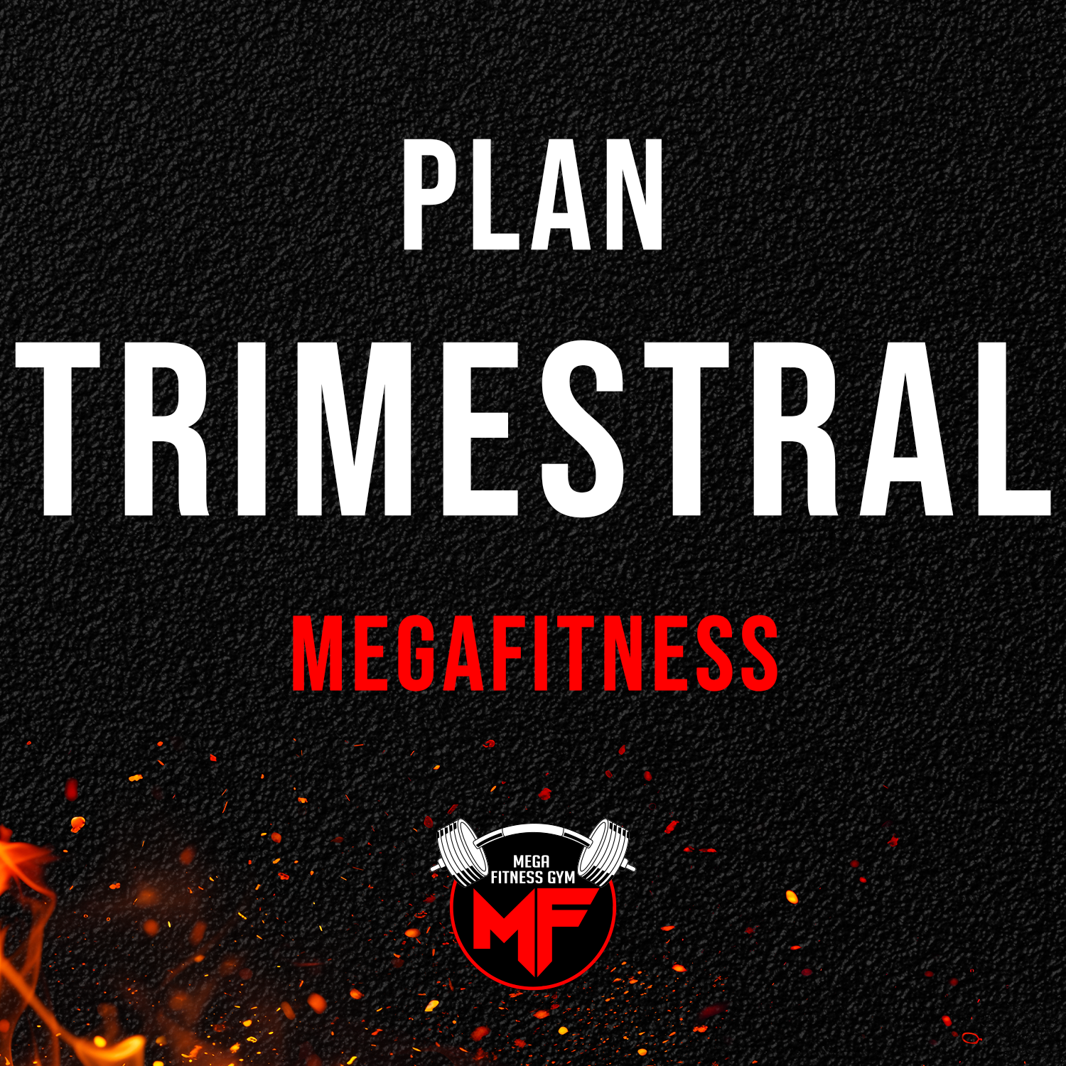 Plan Trimestral